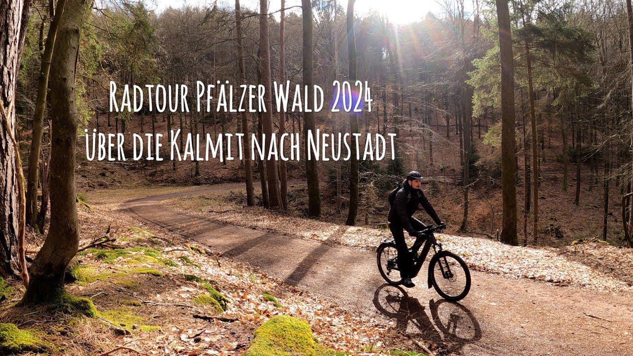Radtour im Pfälzer Wald - Von der Kalmit nach Neustadt/Wstr.