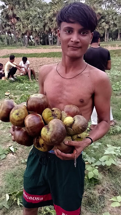 MdJaseemAnsri 3873