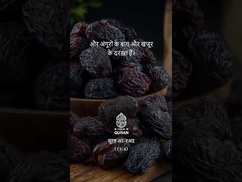 सूरह अर-रअद | Surah Ar-Ra`d: Verse -4 💝#hindi #quran