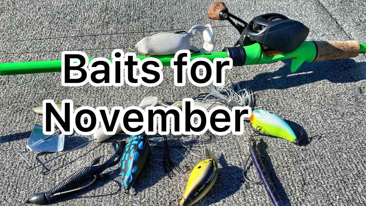 Baits That Work in November – Bass Fishing