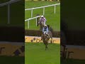Happy retirement to Edwardstone, who gave racing fans so many memorable moments throughout his caree
