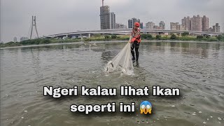 Ngeri...!!! Jala Ikan Belanak Di Muara Hasilnya Di Luar Dugaan / Cast Net Fishing