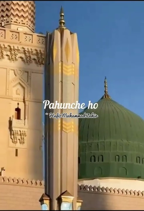Ye shan tumhari hai aaqa ✨💚|| Hafiz Muhammad Zahir Razvi Najmi || #naatstatus #shorts #viral