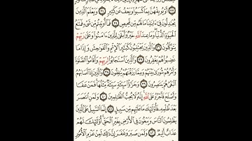 سورة الشورى الصحيفة رقم 487 بصوت المقرئ فضيلة الشيخ د.أحمد عبد الرحمن الخجا الدمشقي الشافعي 🌸 