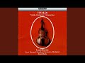 Miniature de la vidéo de la chanson Concerto In D Major, Rv 392: Iii. Allegro