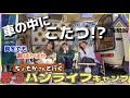 【バンライフ旅】車の中に"こたつ"!?「レインボーキャンプ第3話」