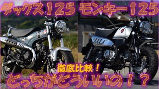 【徹底比較】ダックス125と、モンキー125の走り、どっちがどういいの！？