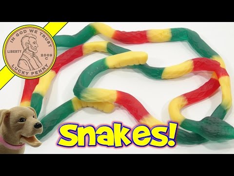 Gummy Snake Multi Colored Candy You