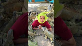 LARIN vs 10,000 IGUANAS #comedia