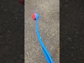 Chuckit! ball launcher for dogs! Honest review! #shorts #dogs#dogtoys