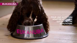 Pourquoi Choisir Eukanuba?