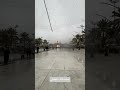 شاهد الزوار اثناء المطر في كربلاء الحسين ع