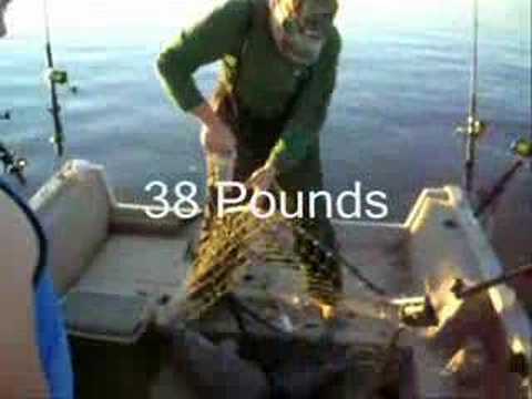 James River Catfishing - Thanksgiving