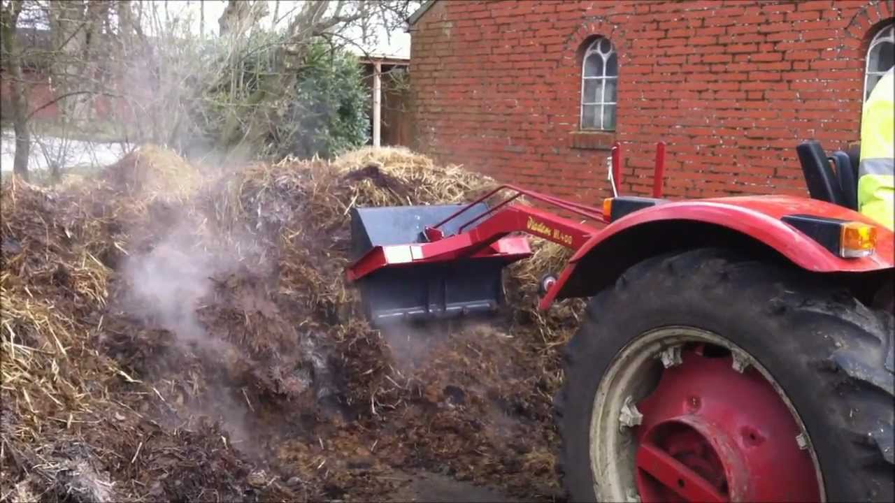 Mistladen mit Diadem 2