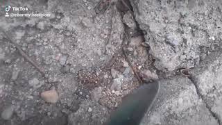 T-Town diggers a day crevicing