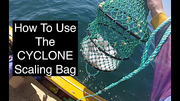 How To Use A Fish Scaling Bag - CYCLONE Heavy Duty Scaler 2020