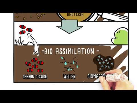 Video: Sú typy biodegradácie?