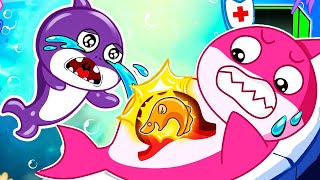 OMG!! Baby Shark Pink Pregnant ..??! What happened..??! Baby Shark Animation