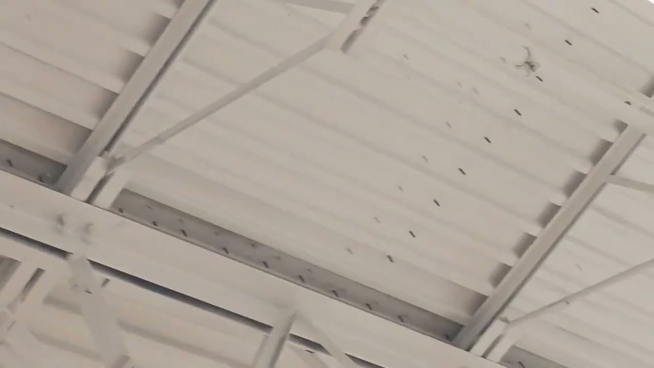 Walmart and Sam's club radio: radio commercial with Kirby Gwen 