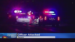 Greeley Police: Michael Zamarron Got Out Of Handcuffs In Patrol Car, Fought For Gun Before Shot Was