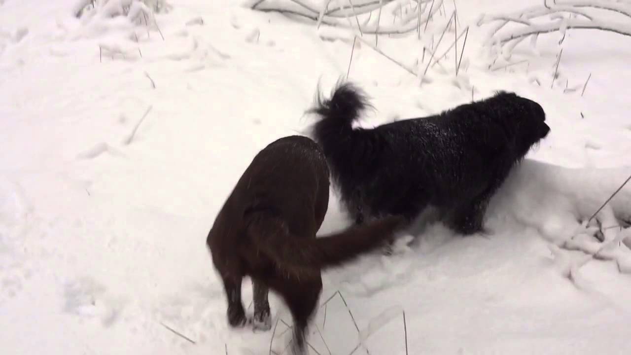 We are not in Texas anymore