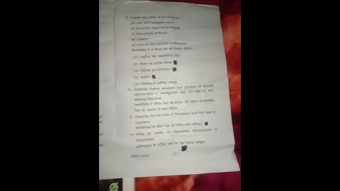 sdsuv!! 1st samster paper!!botany!!algae,fungi ,microbes,bryophyta!!