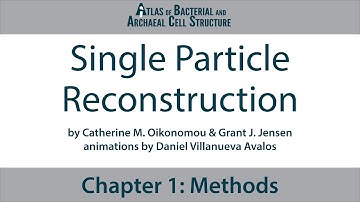 1.8 Single Particle Reconstruction