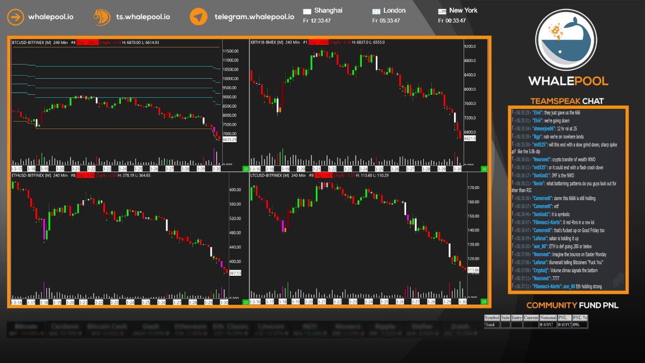 Whalepool live bitcoin cryptocurrency trading stream 24 7 365