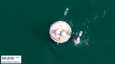 VIDEO Genoa Project with Aquaconnect