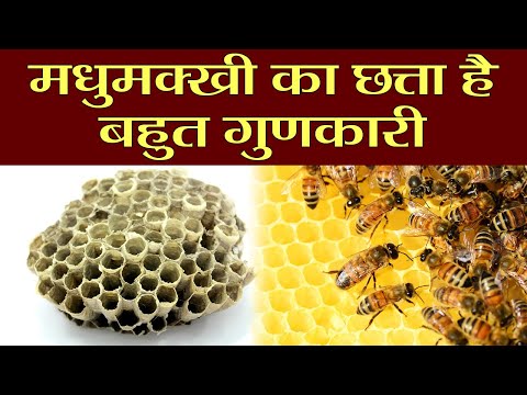 वीडियो: मधुमक्खियों के छत्ते को सरोगेट से कैसे अलग किया जाए, मधुमक्खी के छत्ते के औषधीय गुण, बगीचे के व्यंजनों - मधुमक्खियों के फायदे - 2
