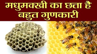 Beehive Benefits: मधुमक्‍खी के छत्तों के इन फायदों के बारें में नहीं जानतें होंगे आप | Boldsky