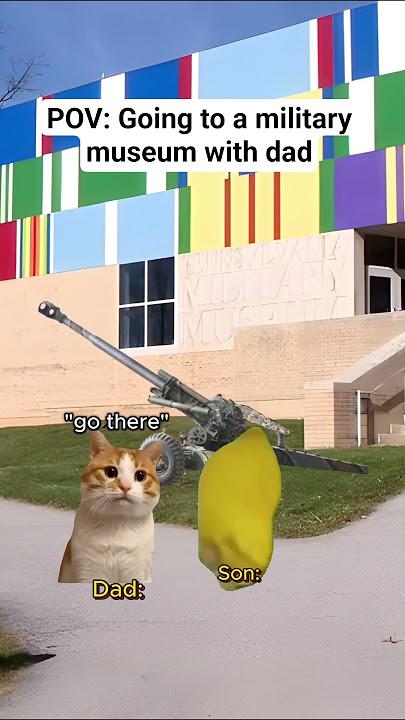 CAT MEMES 🐱 Going to a military museum with dad #catmemes #relatable