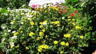 MVI_0628.AVI