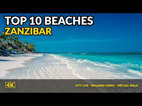 Video: De 10 bedste stranddestinationer i Tanzania