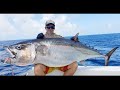 Huge Dogtooth Tuna Caught On Jig Full Trip Video Fiji 2020 Some Of The Best Footage Ever Seen Huge Dogtooth Tuna Caught On Jig Full Trip Video Fiji 2020 Some Of The Best Footage Ever Seen