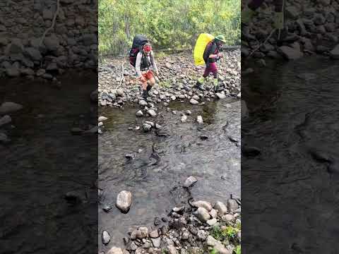 Видео: Долина реки Хойси плато Путорана