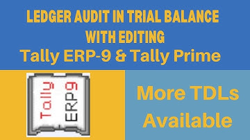 ( Tally - Expert ) Ledger Audit In Trial Balance With Editing