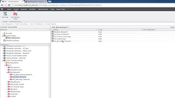 Create a Document Link T3 Video