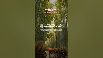 Verses from the Holy QuranSurat Al-Kahfايات من القران الكريم سورة ا