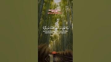 Verses from the Holy QuranSurat Al-Kahfايات من القران الكريم سورة ا