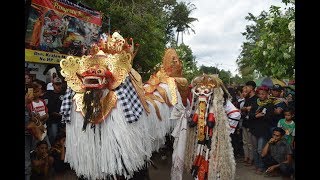 BARONG BESAR JARANAN PANGESTU BUDOYO 2019 Rande Leak Bali Rogojampi Banyuwangi