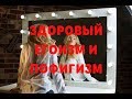 Здоровый эгоизм и пофигизм