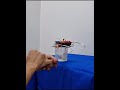 DIY touchless senitiser dispenser made using Havi elements - DIY robotics starter kit.