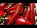هريسه الفلفل معلقه منها علي اي طبخ بتغيرها تماما 