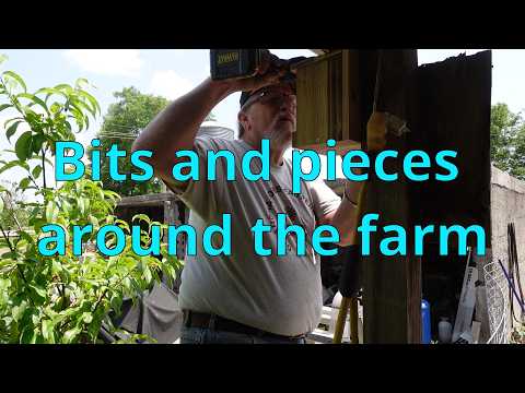 Bits and Pieces of what goes on! #farming #cattlefarm #subscribe #work #chores