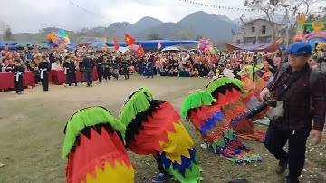 lễ khai mạc múa sư tử Hội hải yến bản sắc dân tộc nùng