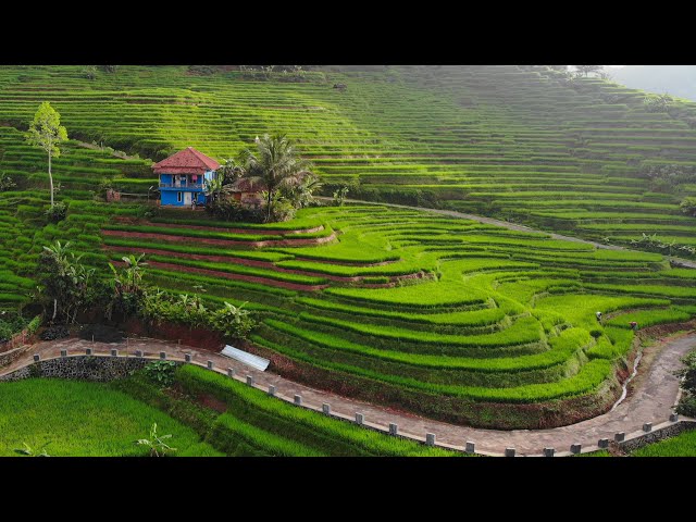 SUMPAH! Inilah Suasana Pedesaan Terindah Di Jawa Barat Saat Ini. Pemandangan Alam Tasikmalaya Edyan class=