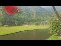 camping cakep😍di Situ Rawa Gede Sukamakmur Puncak 2 Bogor| Agro wisata kopi Rawa Gede #campervan