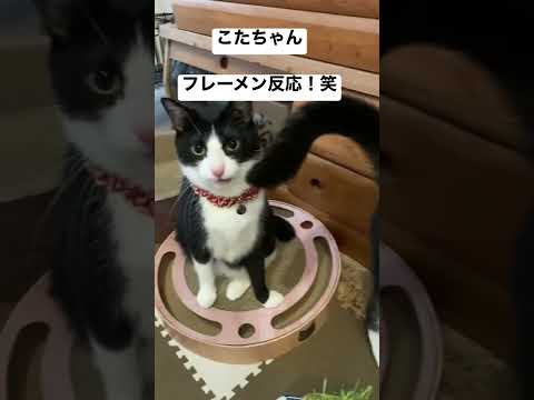 2022年6月5日