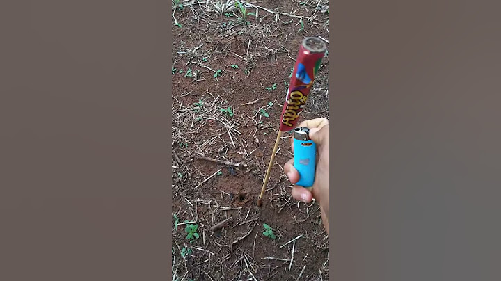 Apito de vara